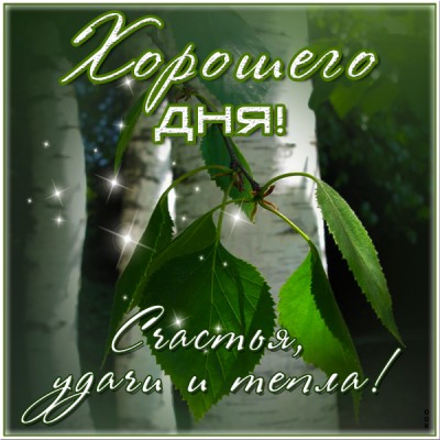 Открытка нежная картинка хорошего дня