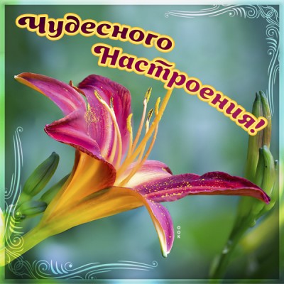 Картинка нежная картинка хорошего настроения