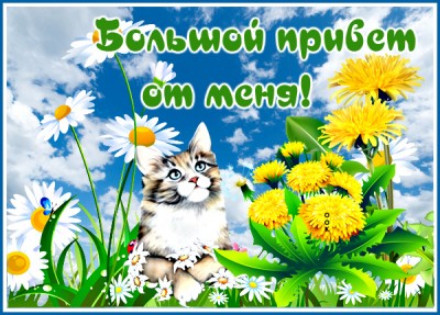Открытка нежная картинка привет