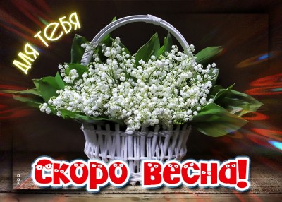 Открытка нежная картинка с ландышами