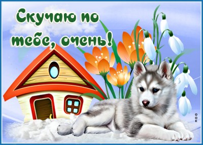 Картинка нежная  картинка скучаю