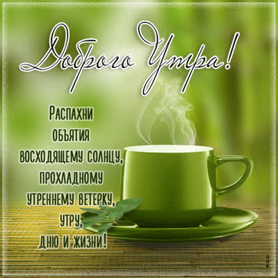 Postcard нежная картинка с добрым утром друзьям