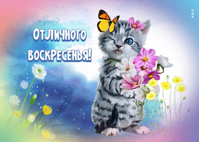 Postcard нежная картинка с воскресеньем