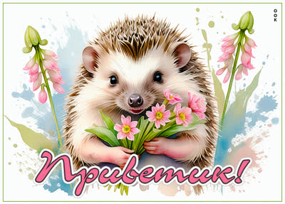 Picture нежная открытка приветик
