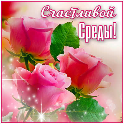 Picture нежная открытка счастливой среды