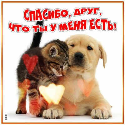 Picture нежная открытка  спасибо друг