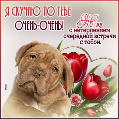 Postcard нежная открытка я скучаю по тебе очень-очень