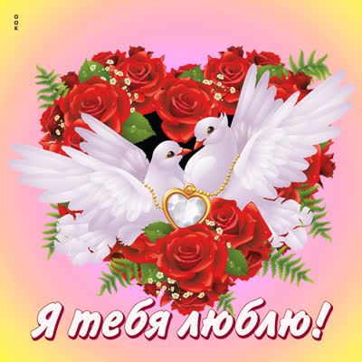 Postcard нежная открытка я тебя люблю