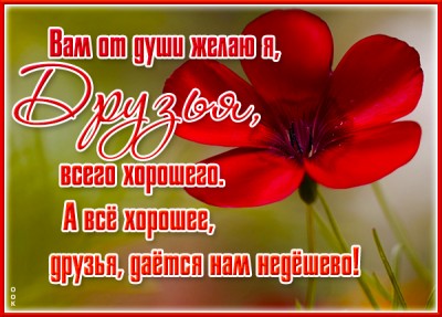 Картинка новая картинка для друзей