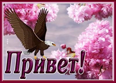 Картинка новая картинка привет