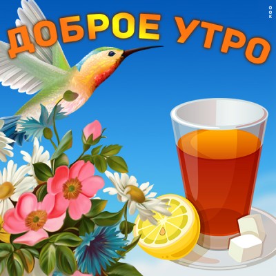 Открытка новая картинка с добрым утром
