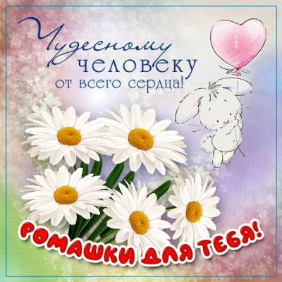 Открытка новая картинка с ромашками