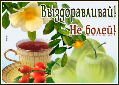 Картинка новая картинка выздоравливай