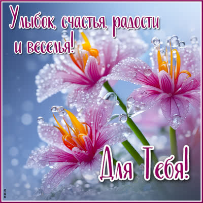 Picture новая открытка для тебя