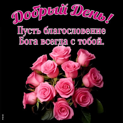 Postcard новая открытка  добрый день