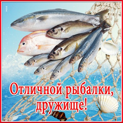 Картинка новая открытка другу