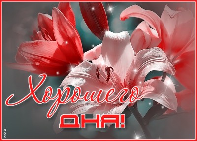 Открытка новая открытка хорошего дня