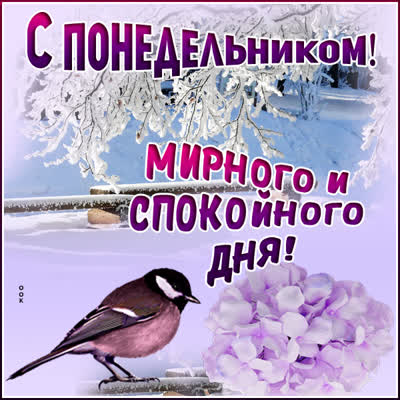 Postcard новая открытка с понедельником