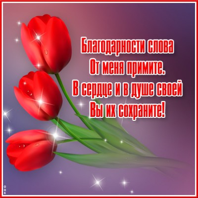 Открытка новая открытка спасибо