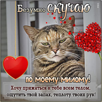 Picture очаровательная картинка безумно скучаю