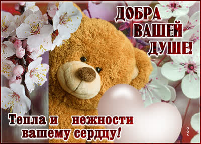 Picture очаровательная картинка добра вашей душе