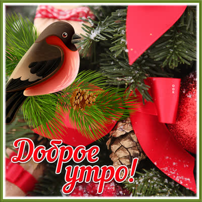 Postcard очаровательная картинка доброе утро