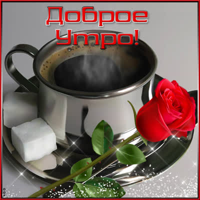 Postcard очаровательная картинка доброе утро