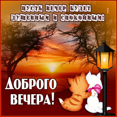 Postcard очаровательная картинка доброго вечера