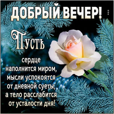 Postcard очаровательная картинка добрый вечер