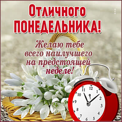 Picture очаровательная картинка отличного понедельника