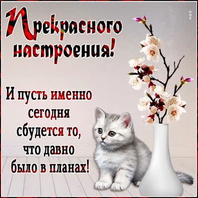 Picture очаровательная картинка прекрасного настроения