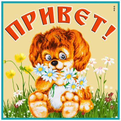 Postcard очаровательная картинка привет