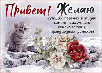 Picture очаровательная картинка привет