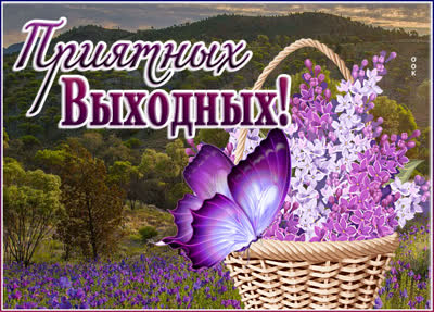 Picture очаровательная картинка приятных выходных