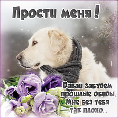Postcard очаровательная картинка прости меня