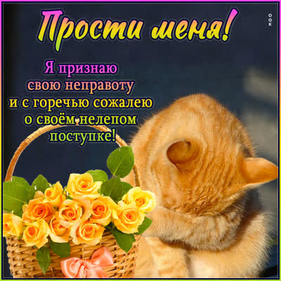 Postcard очаровательная картинка прости меня