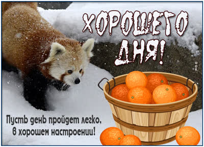Picture очаровательная картинка хорошего дня