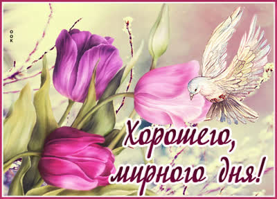 Postcard очаровательная картинка хорошего мирного дня