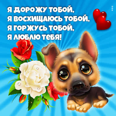 Postcard очаровательная картинка я тебя люблю