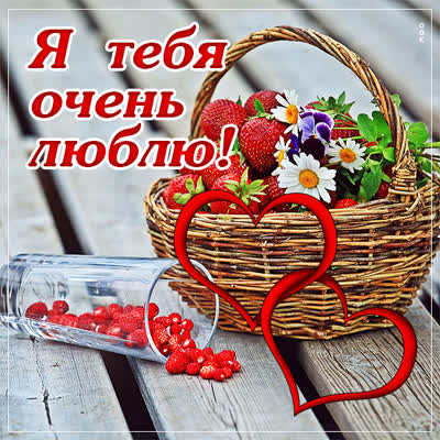 Postcard очаровательная картинка я тебя очень люблю