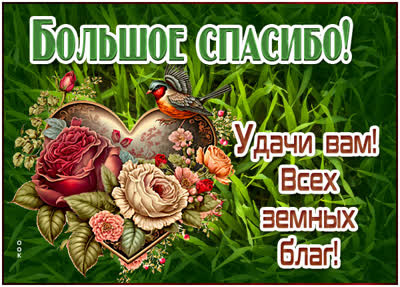 Postcard очаровательная открытка большое спасибо
