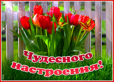 Postcard очаровательная открытка чудесного настроения