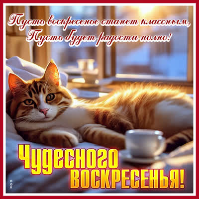 Postcard очаровательная открытка чудесного воскресенья