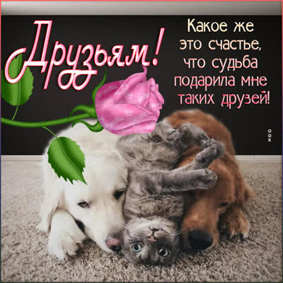 Postcard очаровательная открытка для друзей