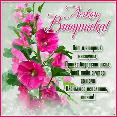 Picture очаровательная открытка легкого вторника