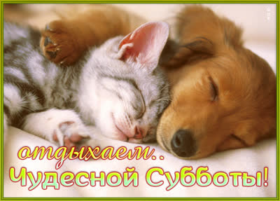 Postcard очаровательная открытка отдыхаем