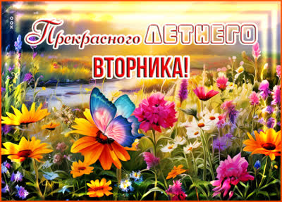 Postcard очаровательная открытка прекрасного летнего вторника