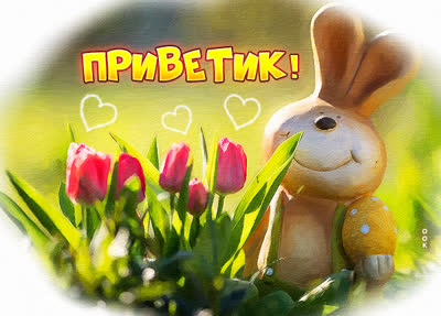 Postcard очаровательная открытка приветик