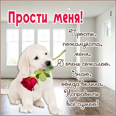 Picture очаровательная открытка прости меня пожалуйста