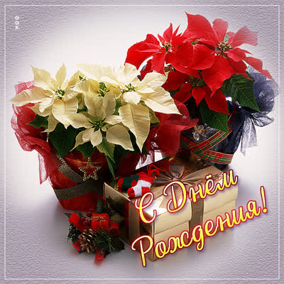 Postcard очаровательная открытка с днем рождения